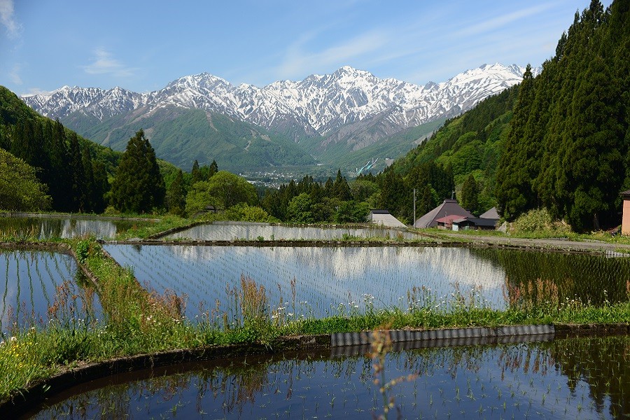 青鬼村の田植え