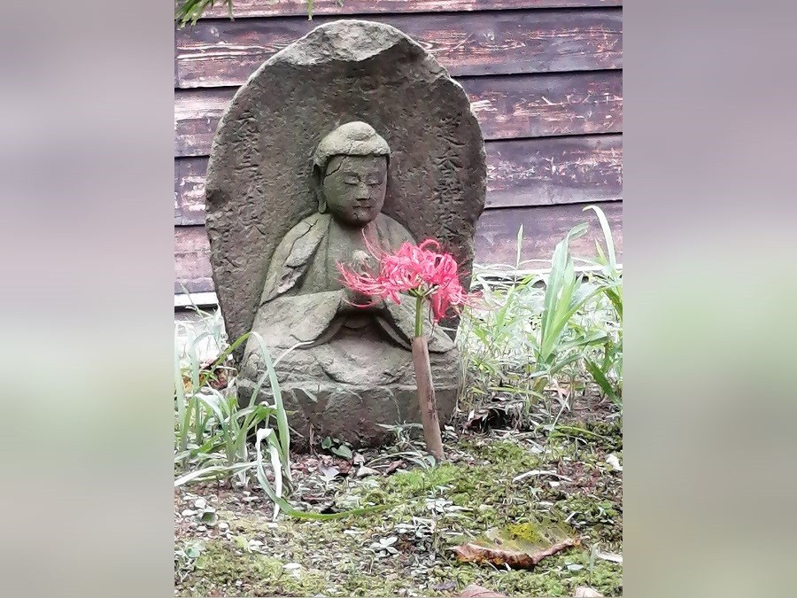お釈迦様と彼岸花