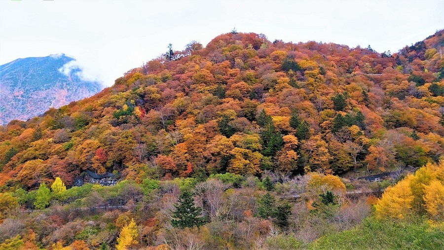 日光　男体山と紅葉