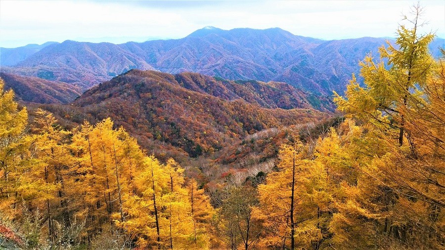 日光　半月山