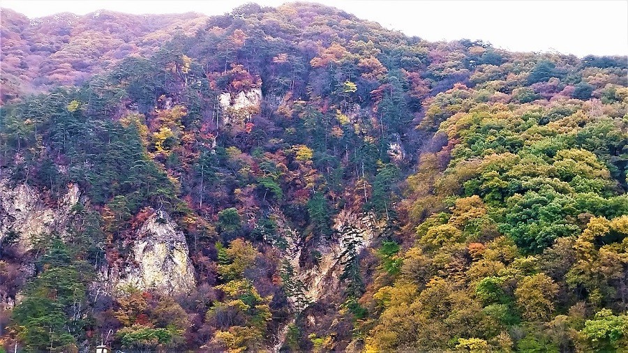 老神温泉紅葉